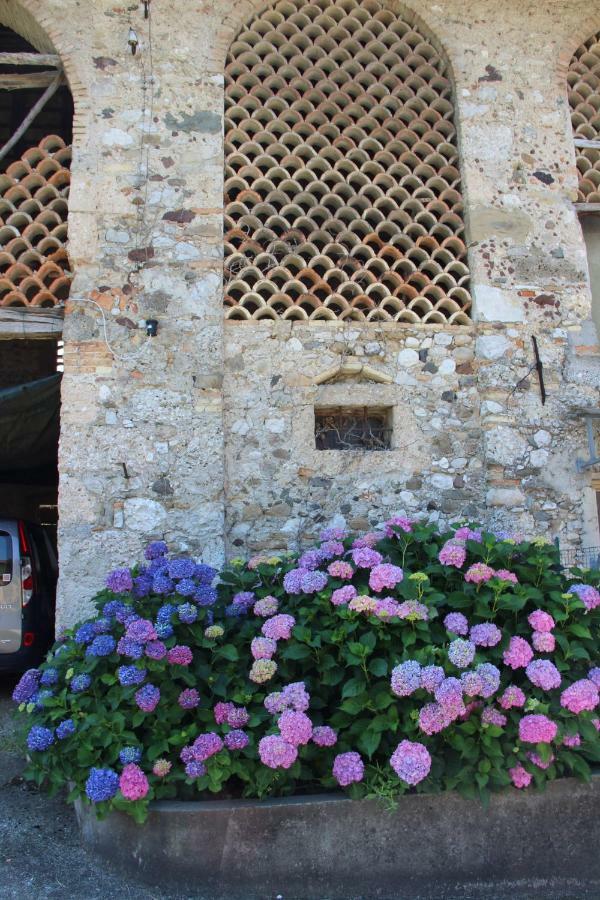 Casa Veritá San Daniele del Friuli Esterno foto